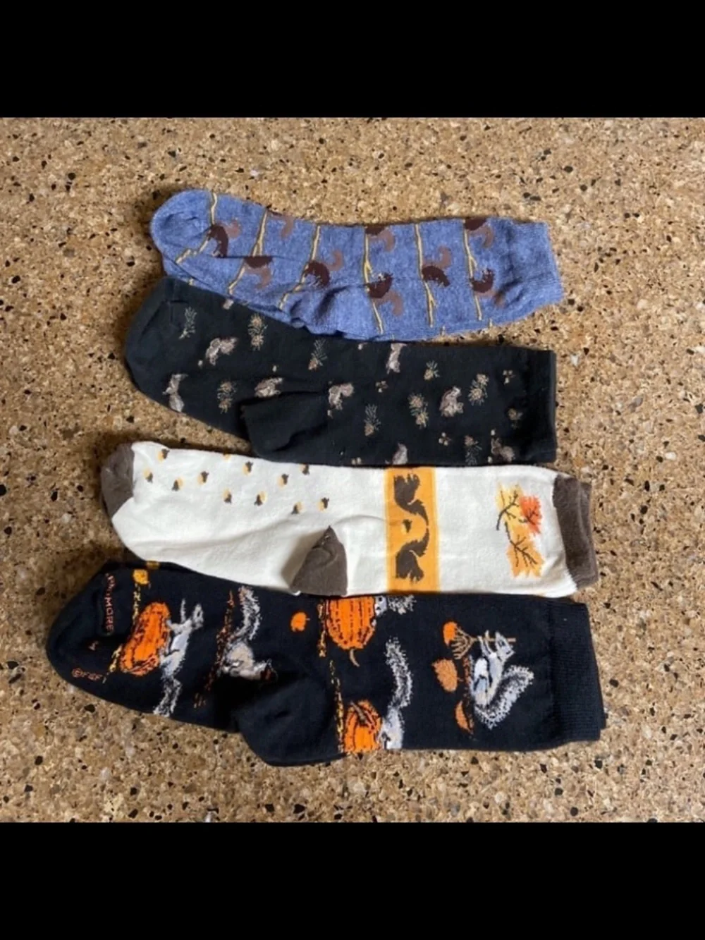 Women’s Squirrel Socks - 4 Pairs